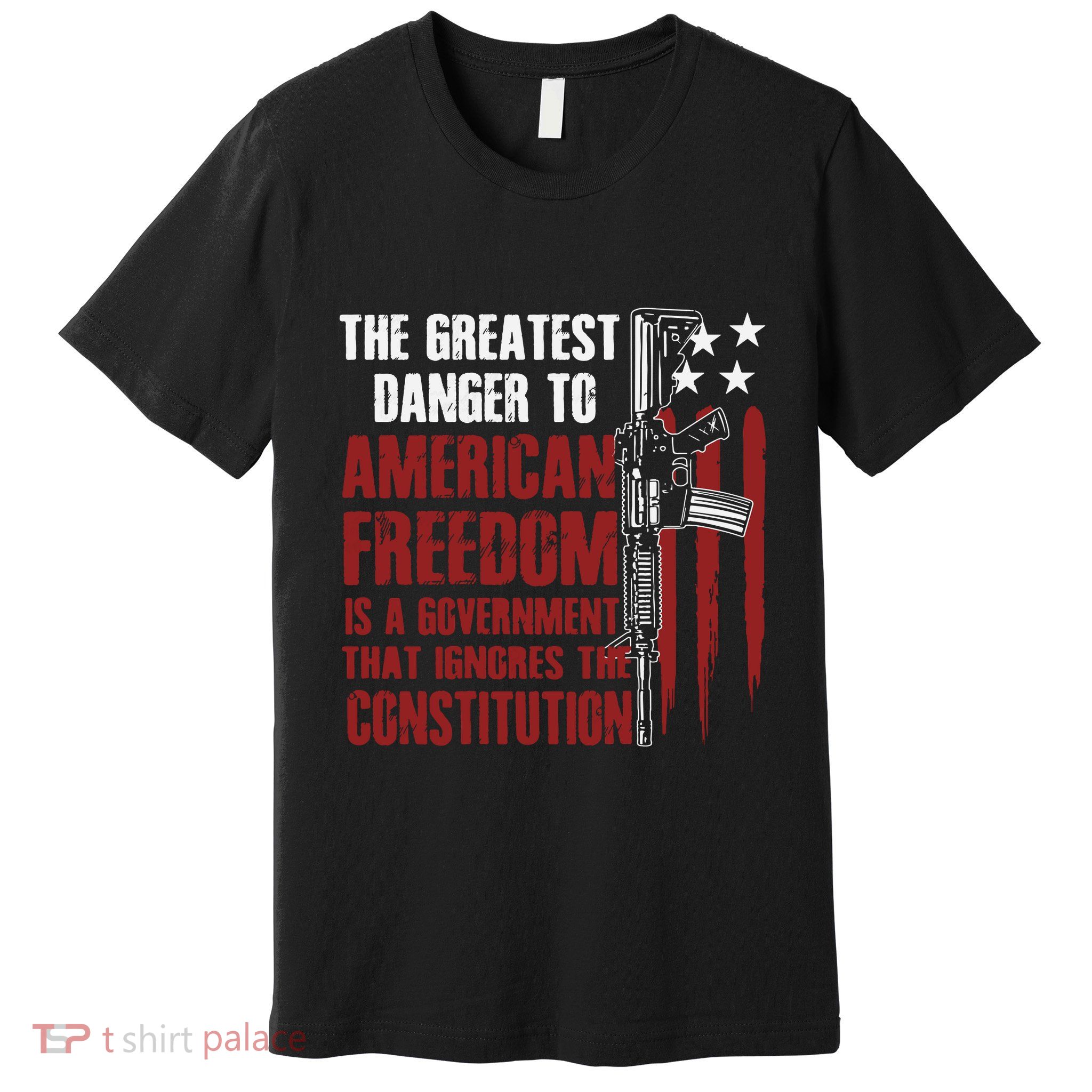 Gun Usa Flag American Freedom Funny Government Premium T-Shirt