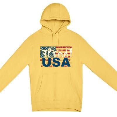 Gymnastics Usa Girl Patriotism Funny Sports Us American Gift Premium Pullover Hoodie