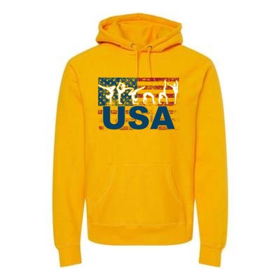 Gymnastics Usa Girl Patriotism Funny Sports Us American Gift Premium Hoodie