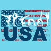 Gymnastics Usa Girl Patriotism Funny Sports Us American Gift Womens T-Shirt