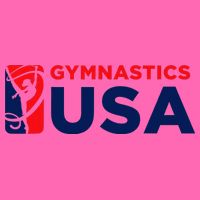 Gymnastics Usa Support The T.E.A.M. U.S.A Flag Stripe Pom Pom Beanie