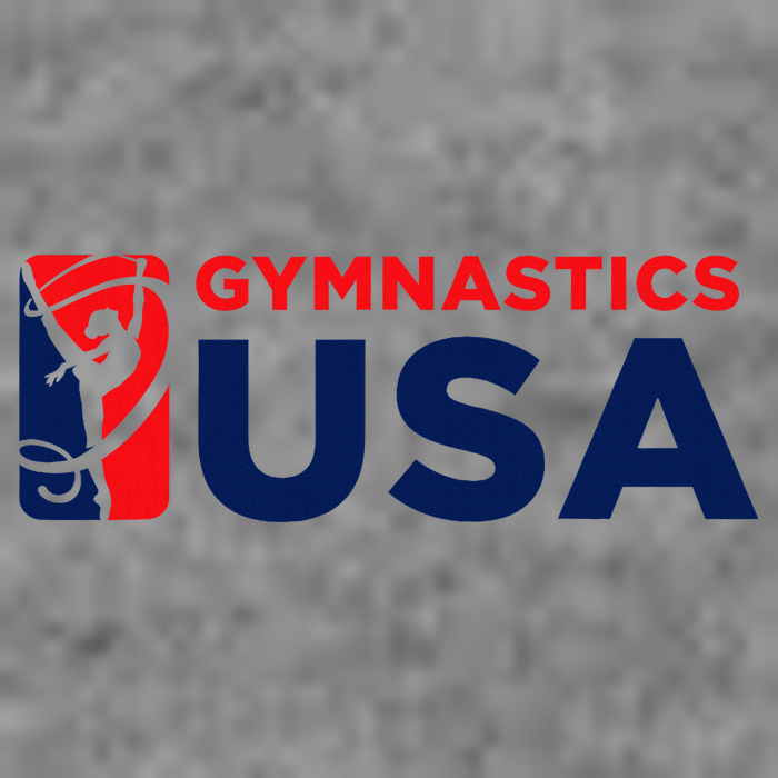 Gymnastics Usa Support The T.E.A.M. U.S.A Flag Sustainable Beanie