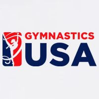 Gymnastics Usa Support The T.E.A.M. U.S.A Flag Wool Snapback Cap