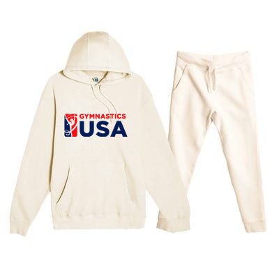 Gymnastics Usa Support The T.E.A.M. U.S.A Flag Premium Hooded Sweatsuit Set