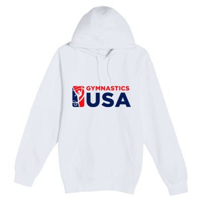 Gymnastics Usa Support The T.E.A.M. U.S.A Flag Premium Pullover Hoodie