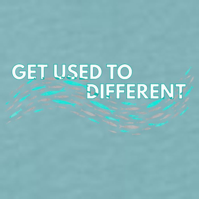 Get Used To Different X Chosen X Fish Against The Current Sueded Cloud Jersey T-Shirt
