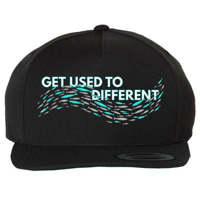 Get Used To Different X Chosen X Fish Against The Current Wool Snapback Cap