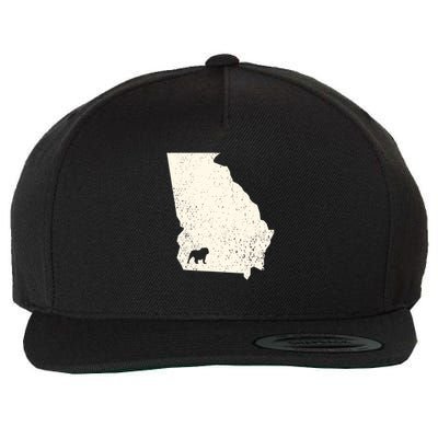 Georgia Vs All Yall Retro Vintage Wool Snapback Cap