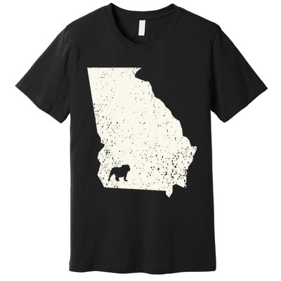 Georgia vs All Yall Retro Vintage Premium T-Shirt