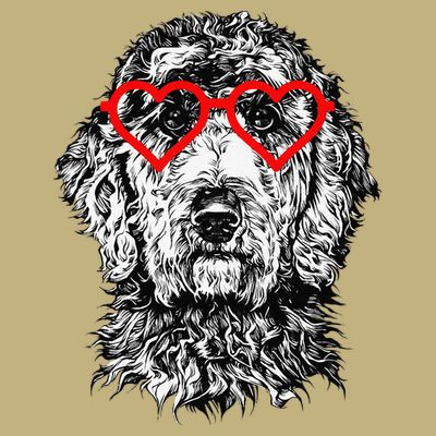 Goldendoodle Valentines Day Doodle Dog Mom Dog Lover T-Shirt