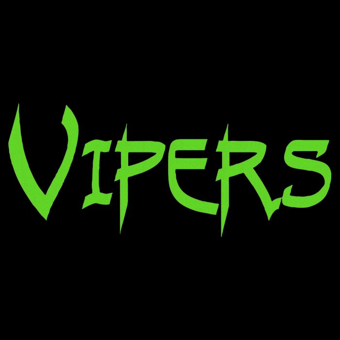 Go Vipers Football Baseball Basketball Cheer Team Fan Spirit Impact Tech Backpack