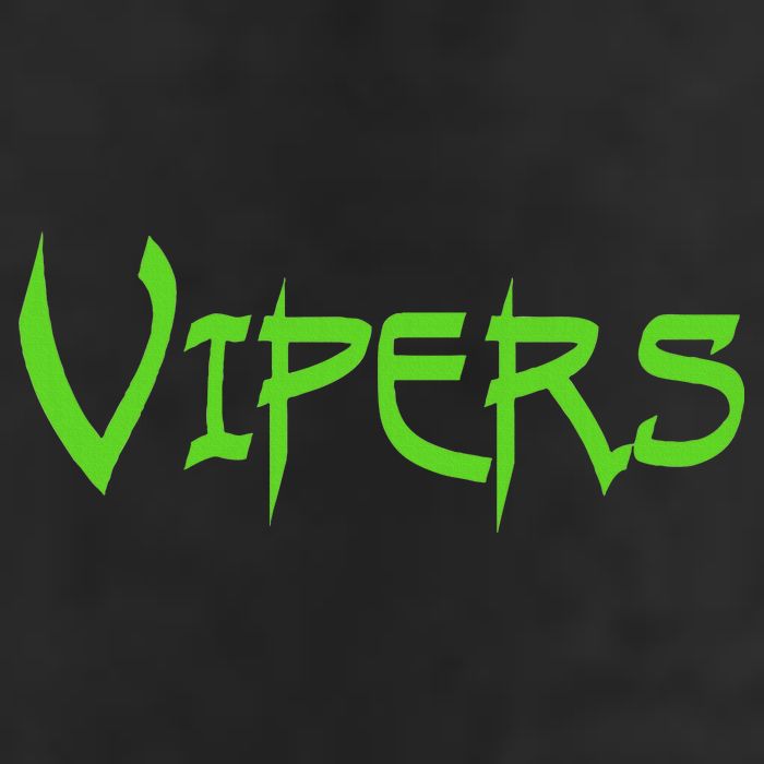 Go Vipers Football Baseball Basketball Cheer Team Fan Spirit Hat