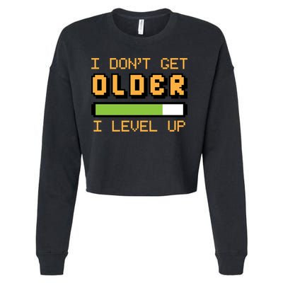 Geek Video Game Gamer Birthday I Dont Get Older I Level Up Gift Cropped Pullover Crew
