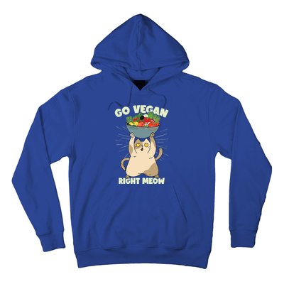 Go Vegan Right Meow Funny Cat Veganism Gift Hoodie