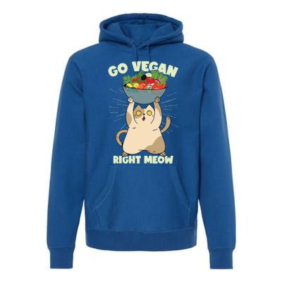 Go Vegan Right Meow Funny Cat Veganism Gift Premium Hoodie