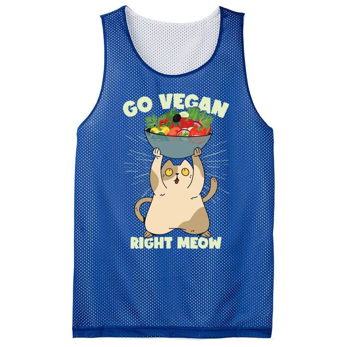 Go Vegan Right Meow Funny Cat Veganism Gift Mesh Reversible Basketball Jersey Tank