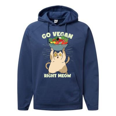 Go Vegan Right Meow Funny Cat Veganism Gift Performance Fleece Hoodie