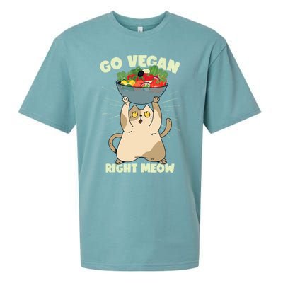 Go Vegan Right Meow Funny Cat Veganism Gift Sueded Cloud Jersey T-Shirt