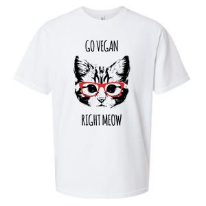 Go Vegan Right Meow Funny Gift For Vegans Vegan Cool Gift Sueded Cloud Jersey T-Shirt