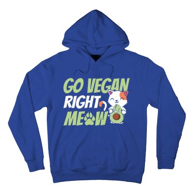 Go Vegan Right Meow Funny Avogato Cute Cat Avocado Lovers Gift Hoodie