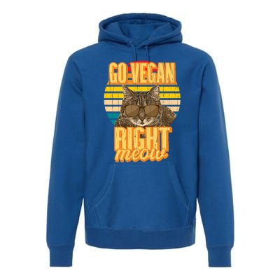 Go Vegan Right Meow Vegetarian Cool Gift Premium Hoodie