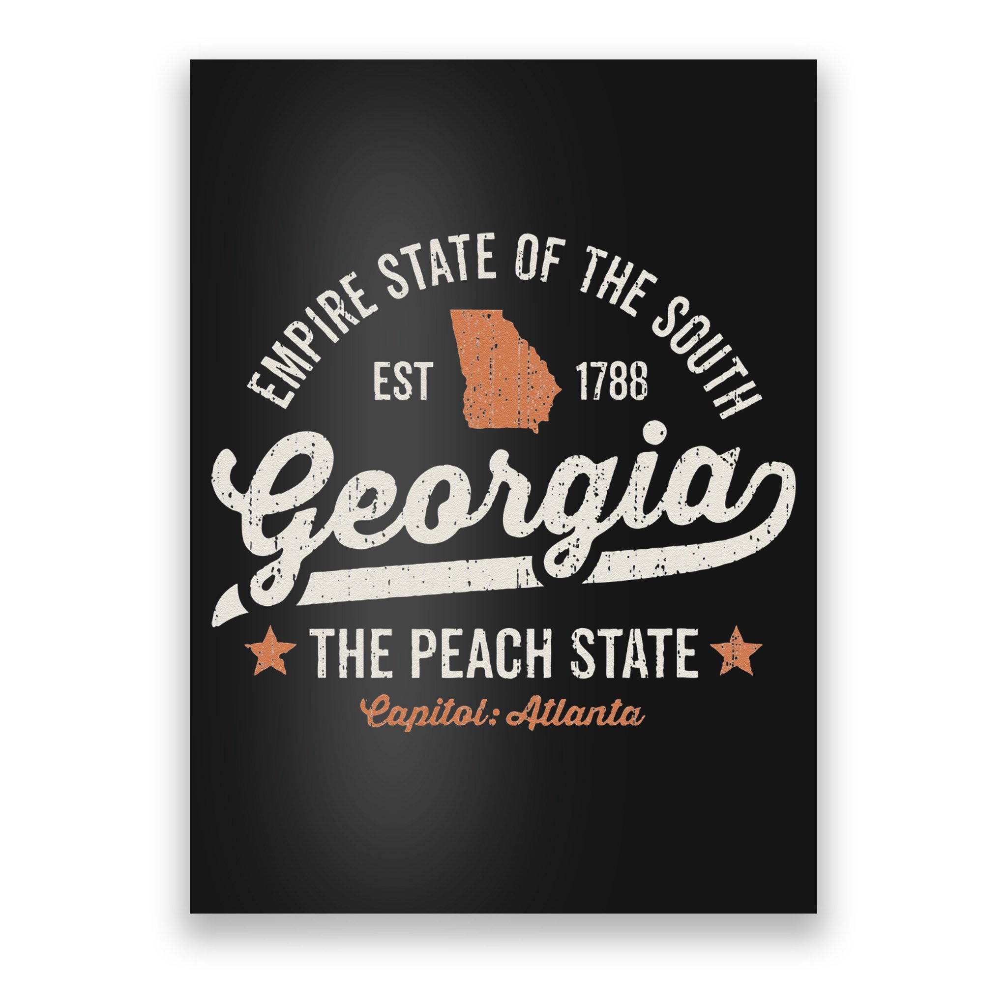 Georgia Vintage Sports Design The Peach State America Rough Poster