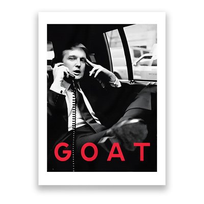 Goat Vote Trump 2024 Funny Support Republican Pro America Poster