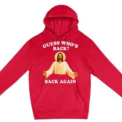 Guess Who's Back Back Again Happy Easter Jesus Christ Premium Pullover Hoodie