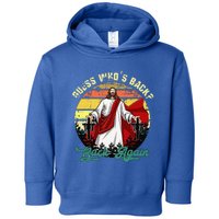 Guess Who's Back? Back Again Toddler Hoodie