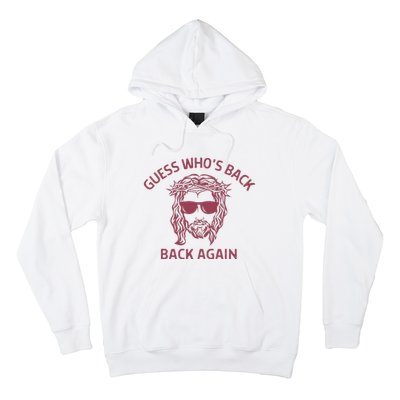 Guess Who's Back? Back Again Hoodie