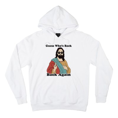 Guess Who's Back? Back Again Hoodie