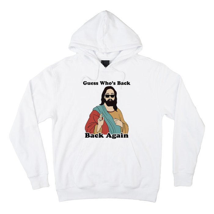 Guess Who's Back? Back Again Hoodie