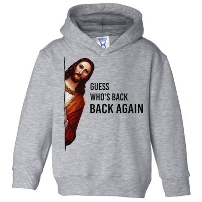 Guess Who's Back Back Again Easter Jesus Christian Gifts Toddler Hoodie
