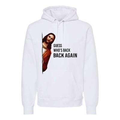 Guess Who's Back Back Again Easter Jesus Christian Gifts Premium Hoodie