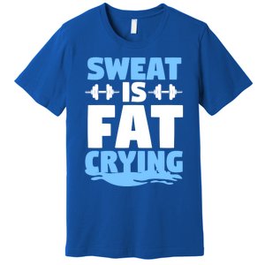 Gym Workout Fitness Exercise Coach Sweat Is Fat Crying Gift Premium T-Shirt