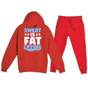 Gym Workout Fitness Exercise Coach Sweat Is Fat Crying Gift Premium Hooded Sweatsuit Set