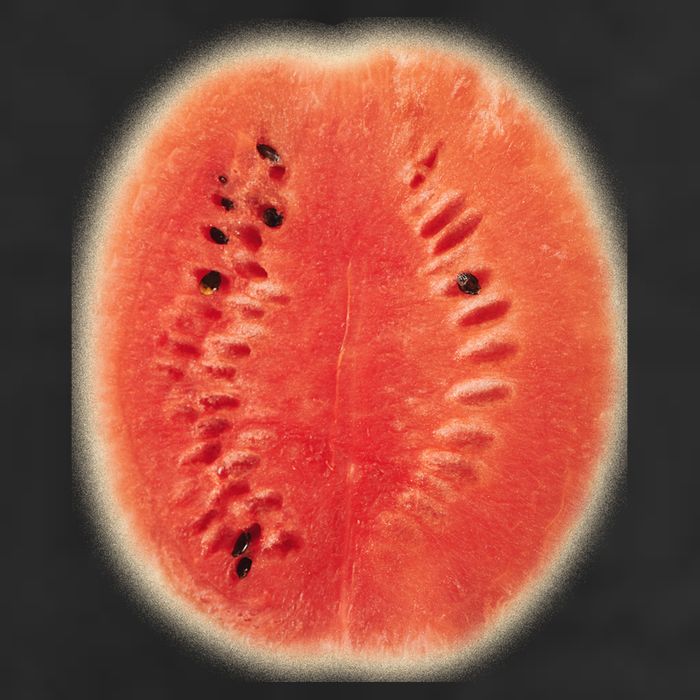 Giant Watermelon Adult Drive Performance Visor