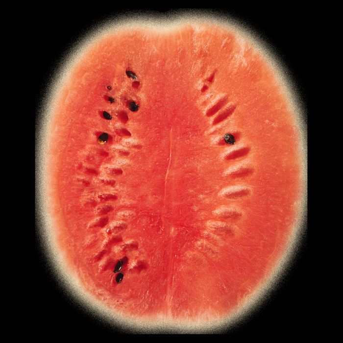 Giant Watermelon Flat Bill Trucker Hat