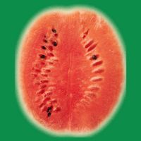 Giant Watermelon T-Shirt