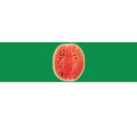 Giant Watermelon Bumper Sticker