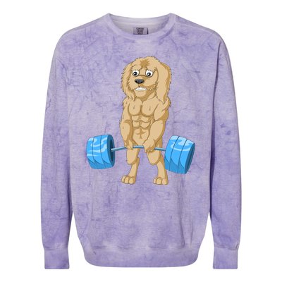 Goldendoodle Weightlifting Colorblast Crewneck Sweatshirt