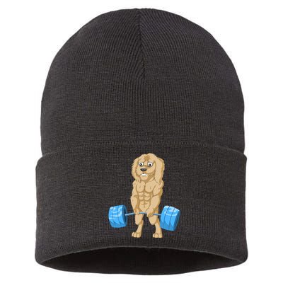 Goldendoodle Weightlifting Sustainable Knit Beanie