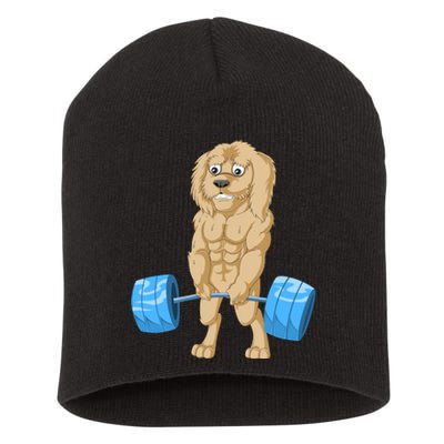 Goldendoodle Weightlifting Short Acrylic Beanie