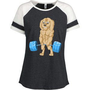 Goldendoodle Weightlifting Enza Ladies Jersey Colorblock Tee