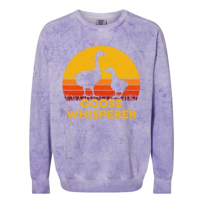 Goose Whisperer Colorblast Crewneck Sweatshirt