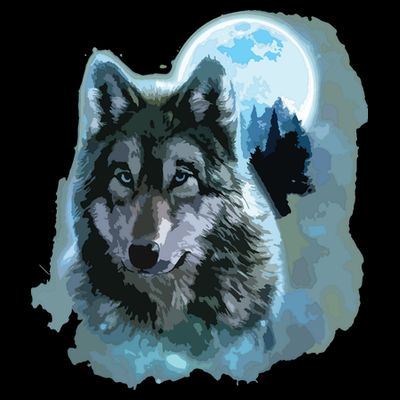 Grey Wolf Hunting Ground, Icy Moon, Forest, Galaxy T-Shirt