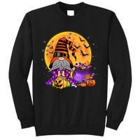 Gnome Witch Halloween Costume Pumpkin Autumn Fall Holiday Sweatshirt