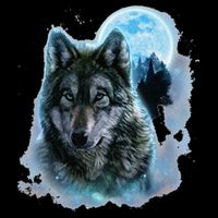Grey Wolf Hunting Ground Icy Moon Forest Galaxy Cooling Performance Crew T-Shirt
