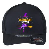 Grandma Witch Halloween Family Costume Set Flexfit Unipanel Trucker Cap