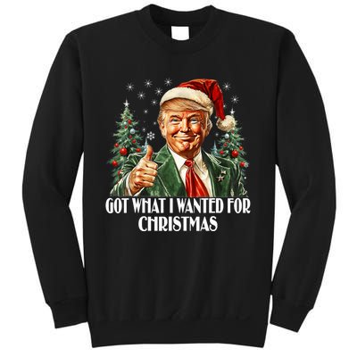 Got What I Wanted For Christmas Trump Xmas Pajamas 2024 Sweatshirt